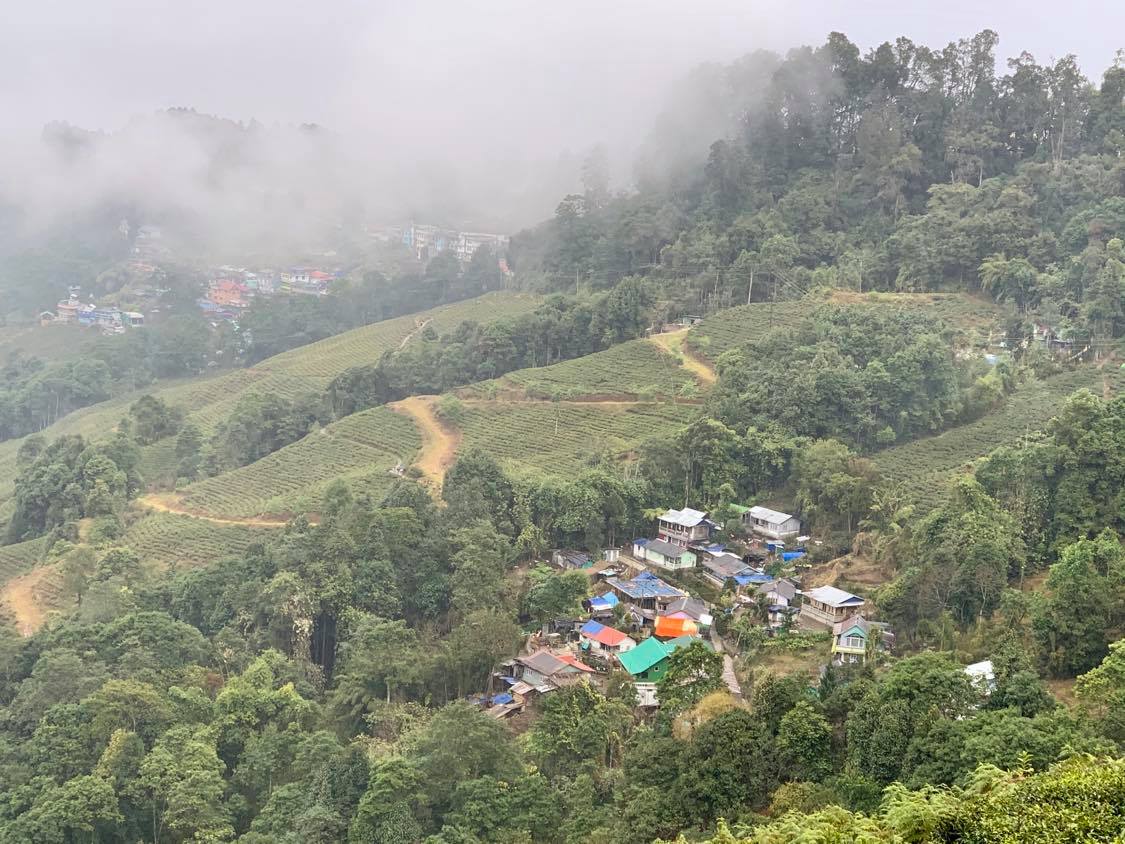 A misty day covered the views in darjeeling