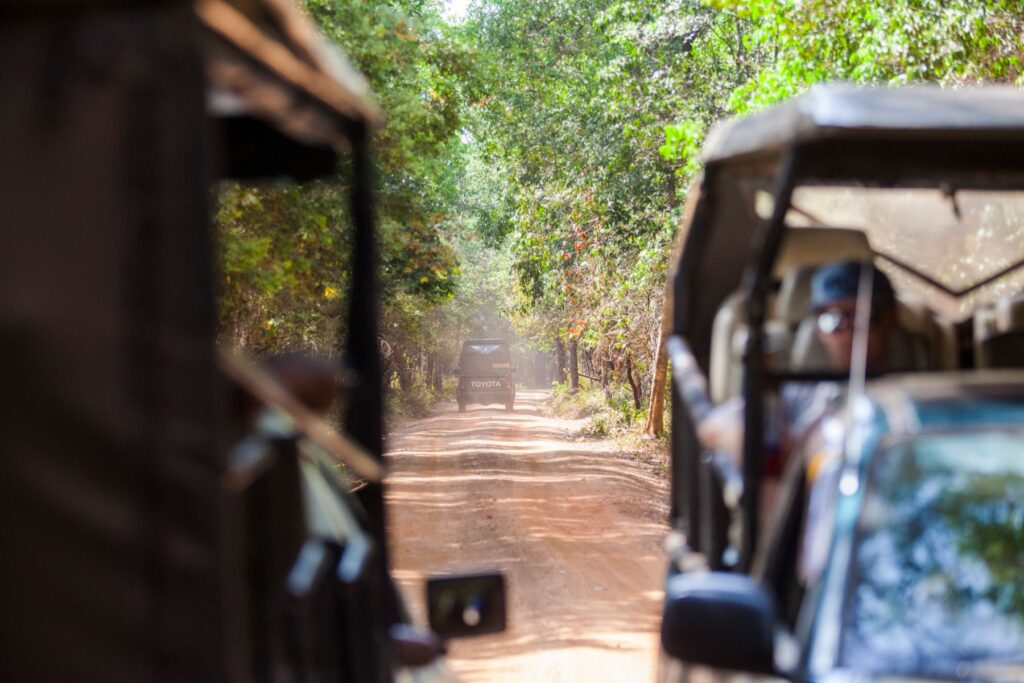 Jeeps in Wilpattu National Park, Sri Lanka by Meike Simms (Wholesome Travel Girl)