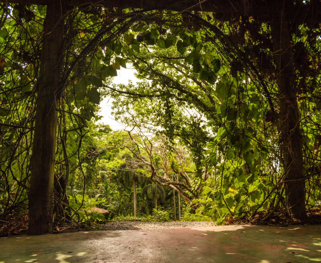 Visit the sleeping giant gardens on Fiji Mainland