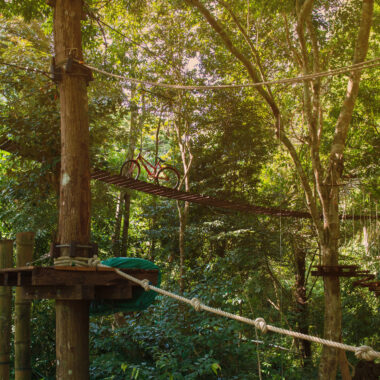 High Ropes, Tree Tops and Tarzan Swings - Go Ape Whinlatter, Cumbria
