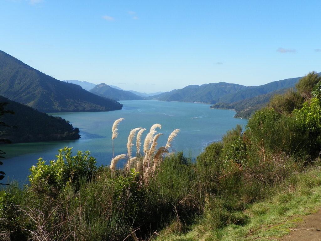 Views from Cullen Point Looking Towards Pelorus Sound | ©,Travels and Wandering
