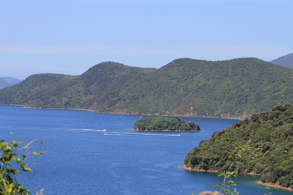 explore the waters by boat trip, kayaks or paddleboards along the Marlborough sounds