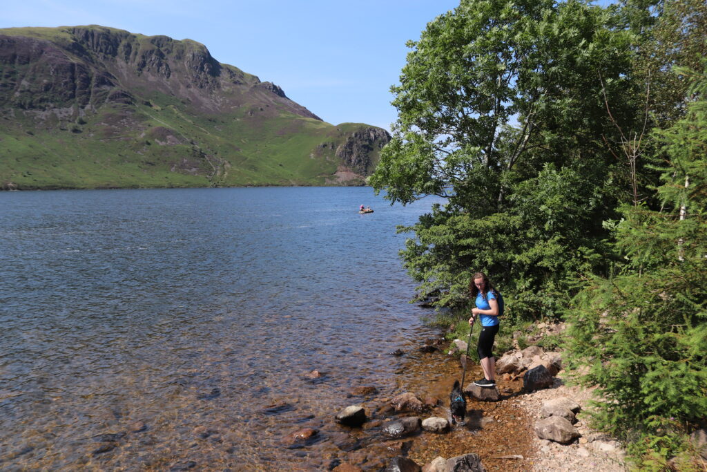 Ennerdale Water and tree's 