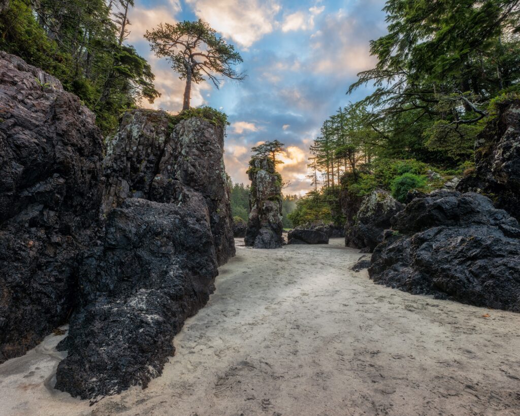The Top Hiking Trails in Vancouver Island, British Columbia