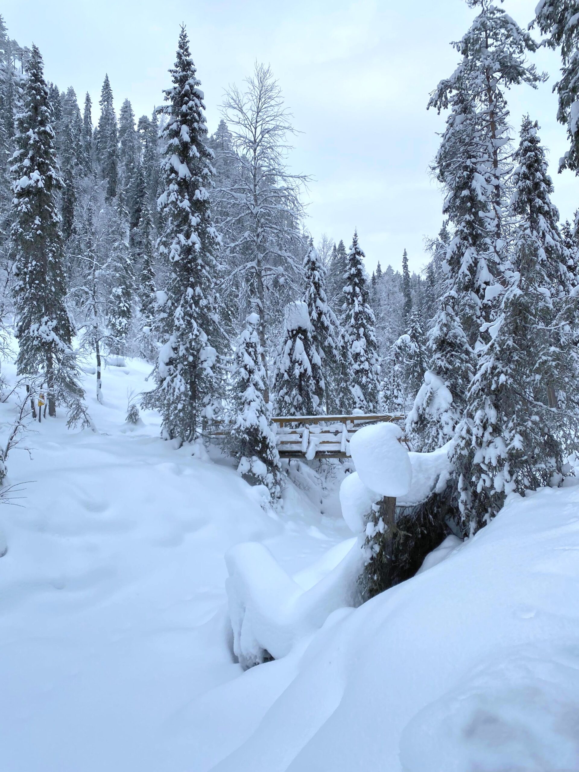 Snow blanket over the Korouoma canon, posio Lapland