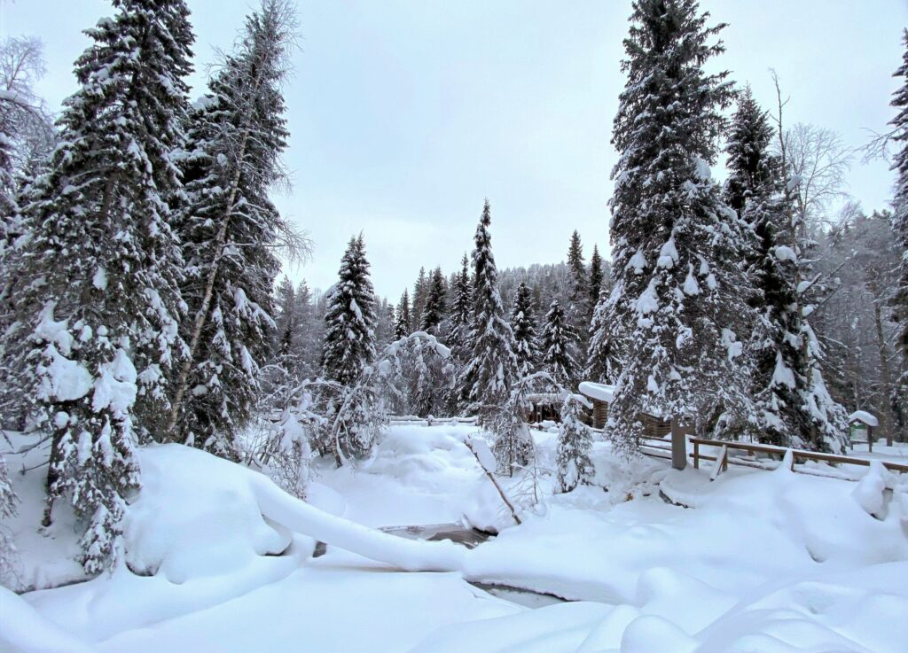 Hiking and ice climbing through the gorgeous snow covered ancient forest in Korouoma Canyon, Posio, Lapland