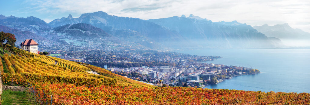 Vinyards Overlooking Montreux And The Lake, Switzerland