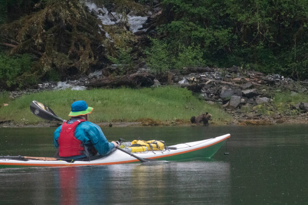 Kayaking The Inside Passage watching grizzly bears; a The Top Three Moment