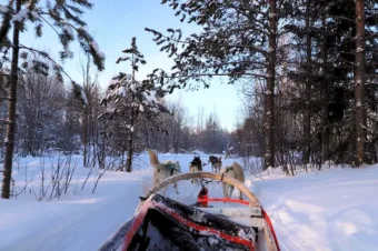 Husky Sledding at Apukka, Lapland