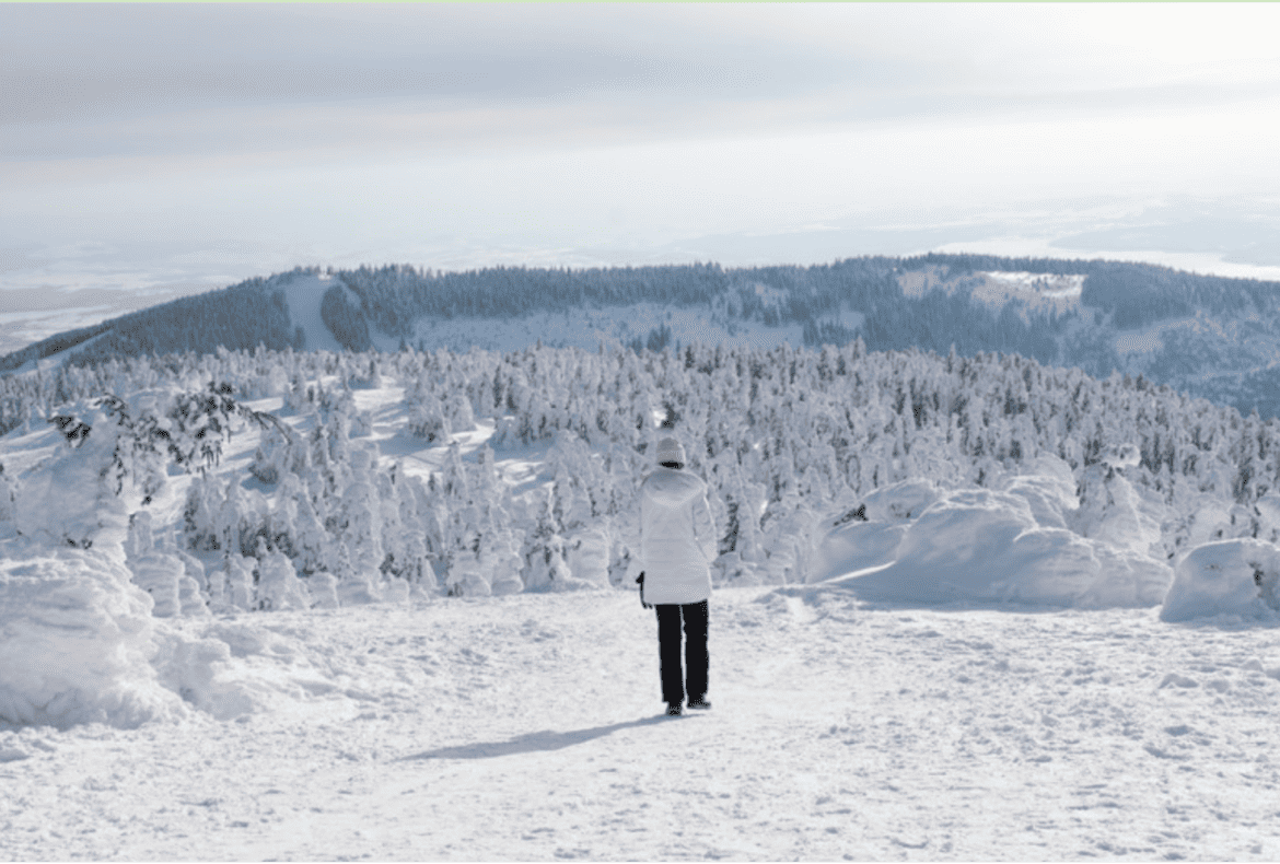 The Ultimate Guide to Winter Experiences in Lapland, Finland