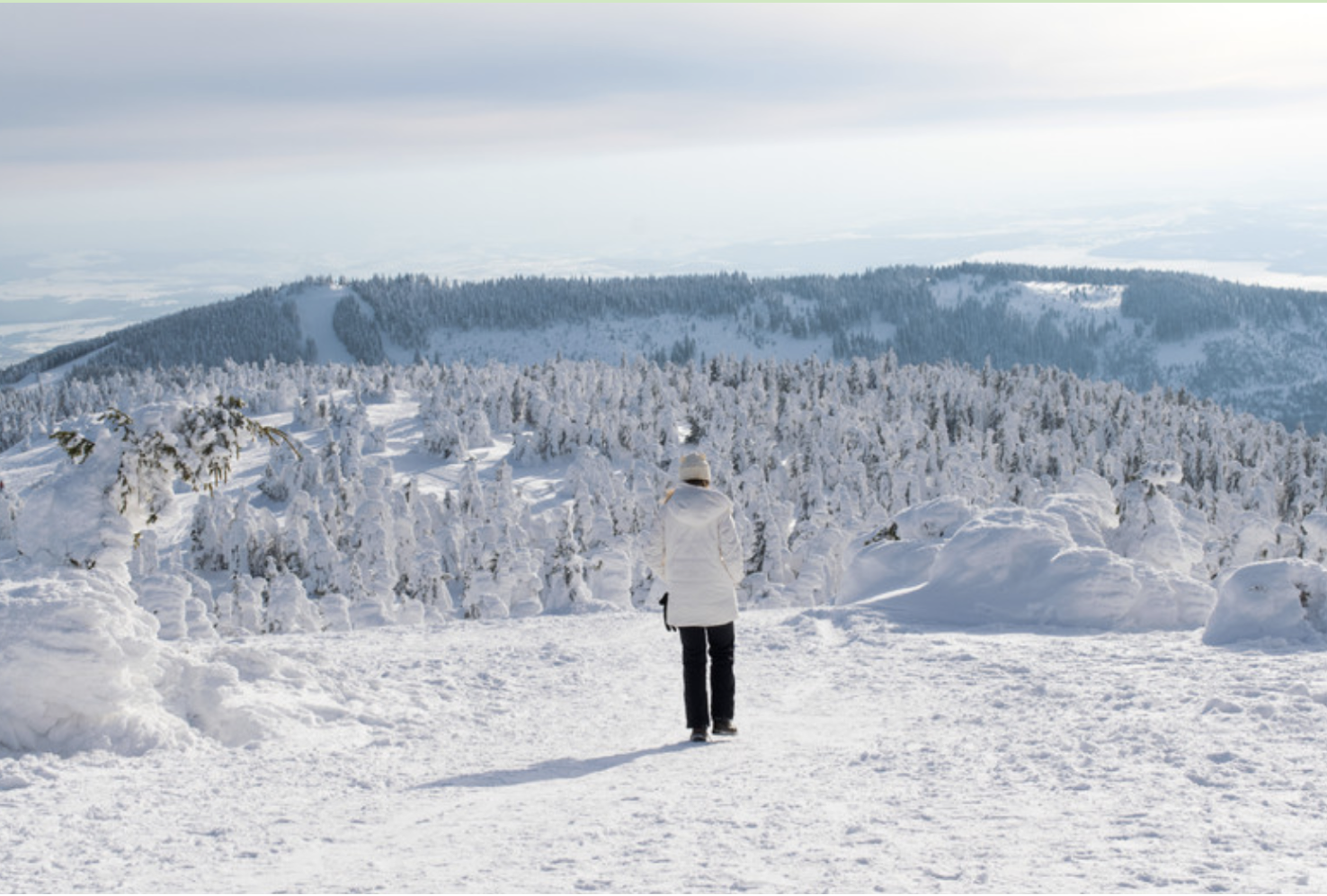Ultimate winter activities to do in Finnish Lapland
