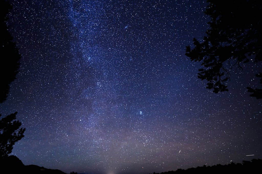 The milky way over the forest Photo by Russ H via Pexels